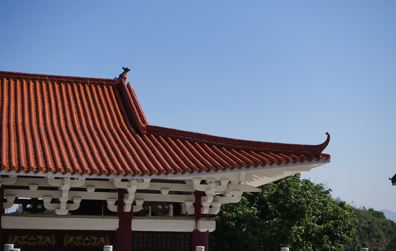 陽西 大垌山