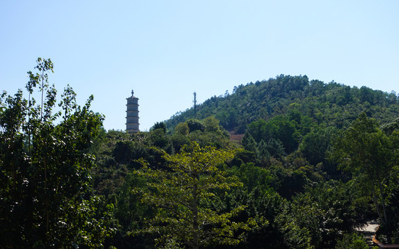 陽西 大垌山