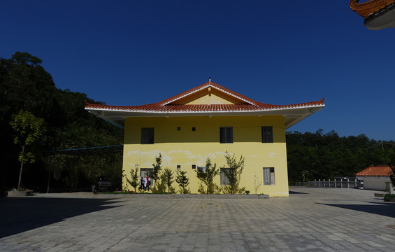 陽西 大垌山
