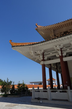 陽(yáng)西 大垌山