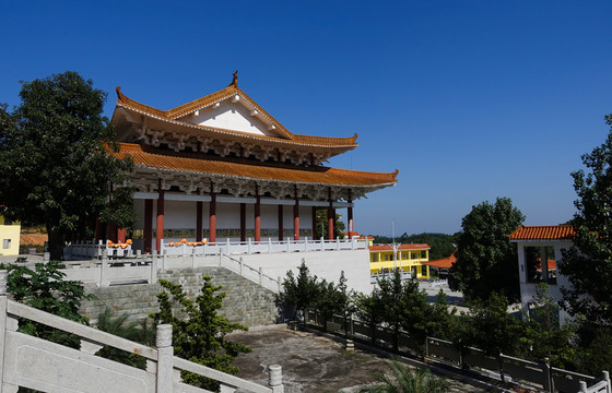 陽西 大垌山