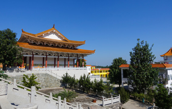 陽西 大垌山