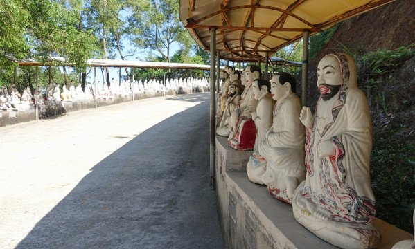 陽(yáng)西 大垌山