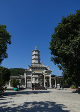 陽西 大垌山
