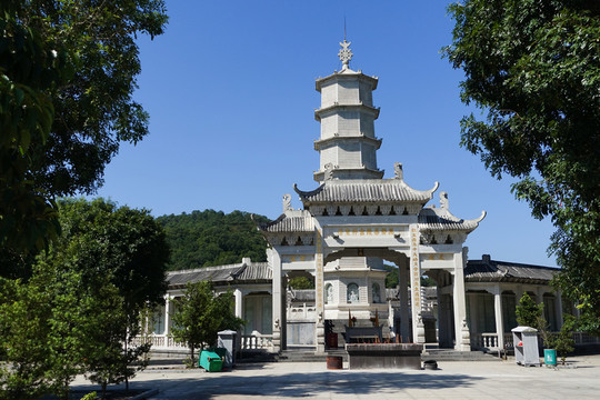 陽西 大垌山