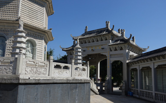 陽西 大垌山