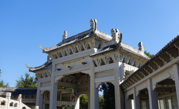 陽西 大垌山