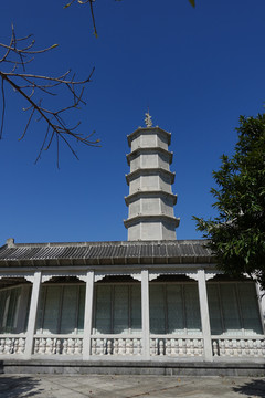 陽(yáng)西 大垌山
