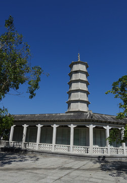 陽(yáng)西 大垌山
