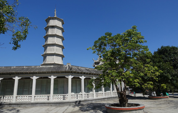 陽西 大垌山