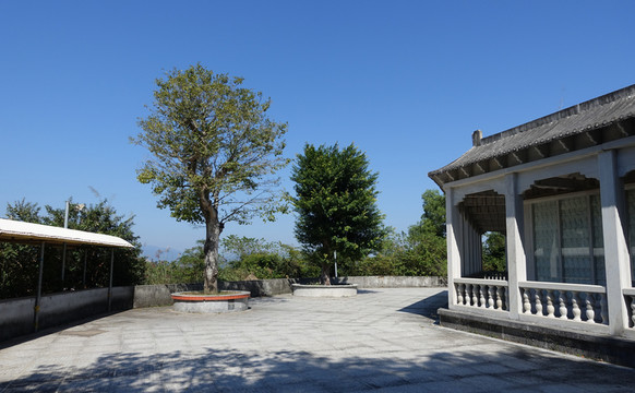 陽西 大垌山