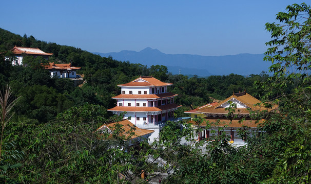 陽西 大垌山