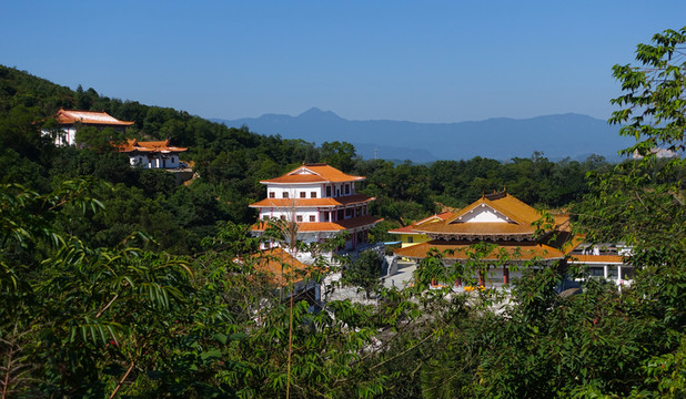 陽西 大垌山