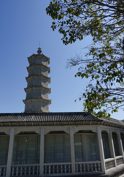 陽(yáng)西 大垌山