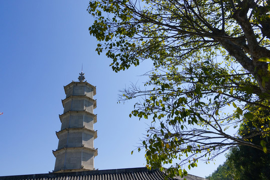陽(yáng)西 大垌山