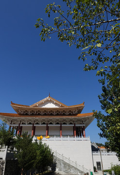 陽(yáng)西 大垌山