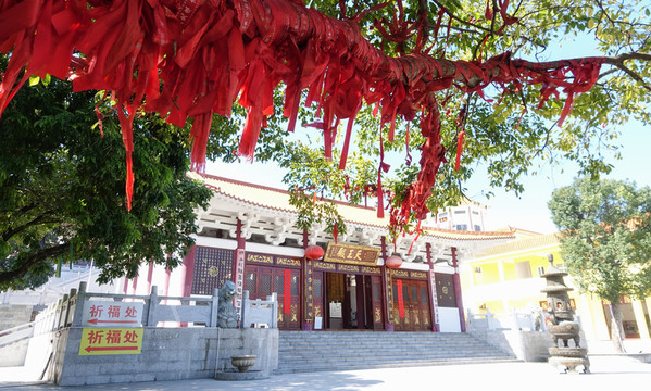 陽(yáng)西 大垌山