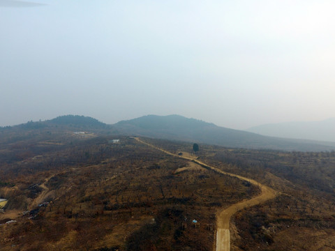 山區(qū)  山坡
