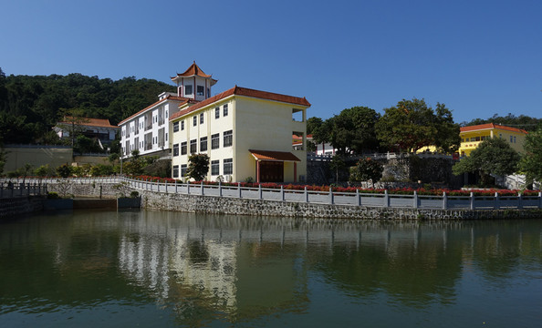 陽西 大垌山
