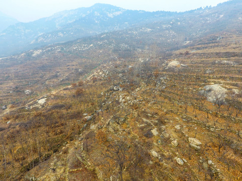 山坡 山地 山景