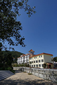 陽西 大垌山