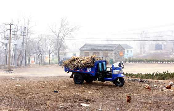 鄉(xiāng)村 三輪車