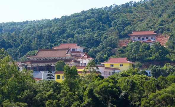 大垌山 寺廟