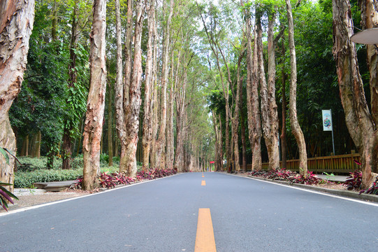 福州森林公園