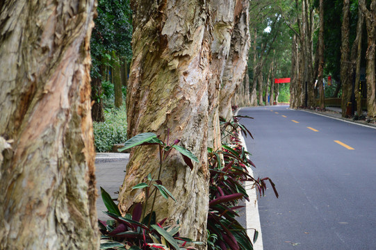 福州森林公園