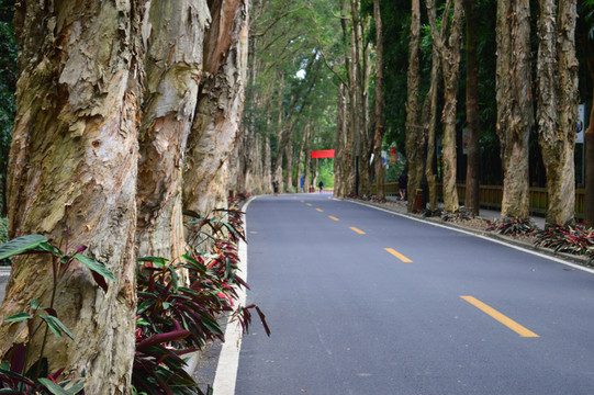 福州森林公園