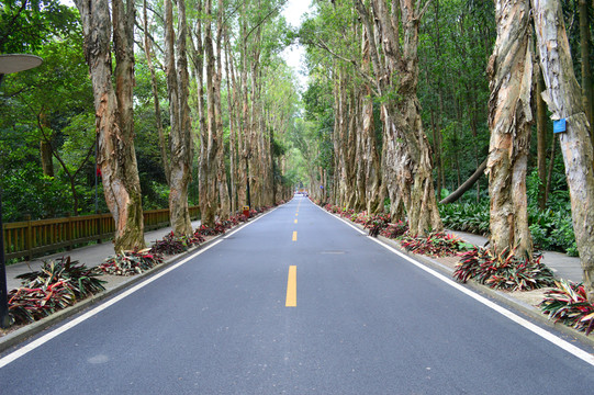 福州森林公園