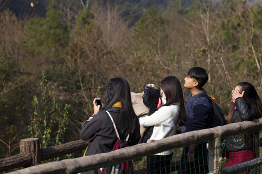 張家界 武陵源 著名景點 旅游