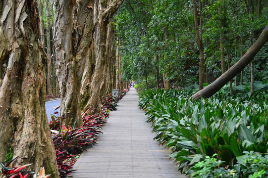 福州森林公園