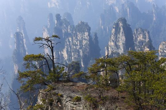 張家界 武陵源 著名景點(diǎn) 旅游