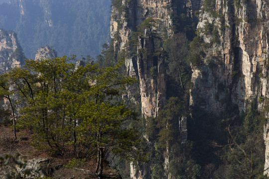 張家界 武陵源 著名景點(diǎn) 旅游