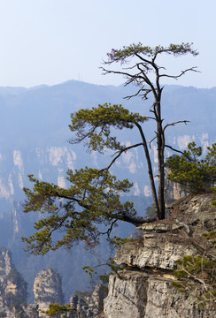 張家界 武陵源 著名景點 旅游