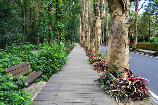 福州森林公園