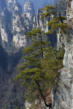 張家界 武陵源 著名景點(diǎn) 旅游