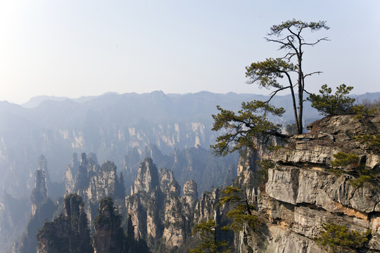 張家界 武陵源 著名景點 旅游