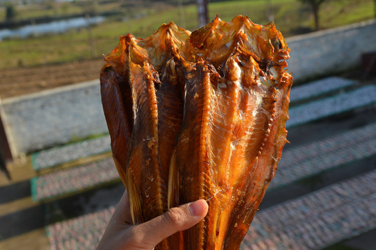 咸魚干