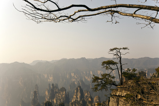張家界 武陵源 著名景點(diǎn) 旅游