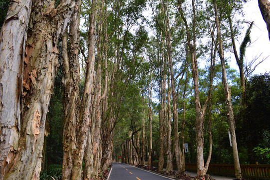 福州森林公園
