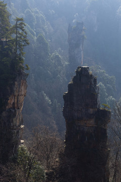 張家界 武陵源 著名景點 旅游