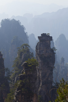 張家界 武陵源 著名景點 旅游