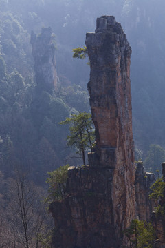 張家界 武陵源 著名景點(diǎn) 旅游