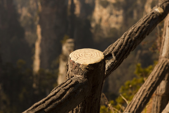 張家界 武陵源 著名景點(diǎn) 旅游