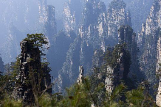 張家界 武陵源 著名景點 旅游