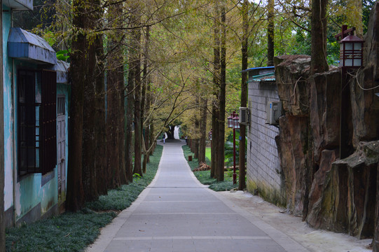 福州森林公園