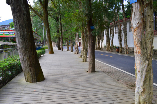 福州森林公園