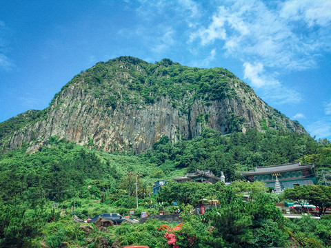 濟(jì)州島濟(jì)州島深林植被